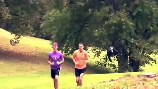 Funny Videos 2016 - Funny Videos Fails Girls - Try Not To Laugh Or Grin - Funny Pranks 2016 p61