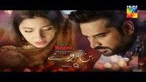 Bin Roye Episode 4 in HD on Hum Tv in High Quality 23rd October 2016(6)