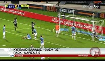 ΠΑΟΚ- ΑΕΛ 2-0  Κύπελλο 2016-17  ΕΡΤ3