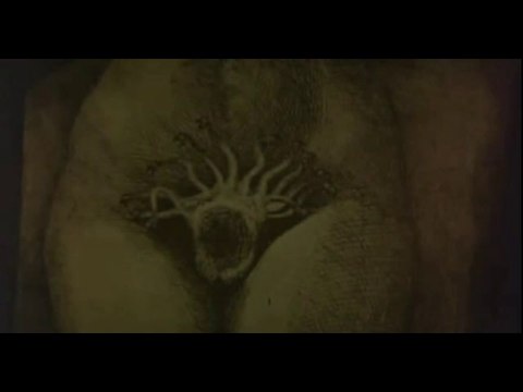 Casanova (Fellini)- Evviva la mona