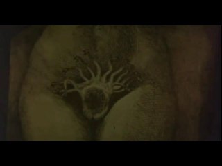 Casanova (Fellini)- Evviva la mona