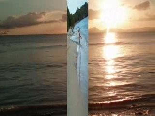 HOMMAGE A LA MARTINIQUE(21/06 au 14/07)