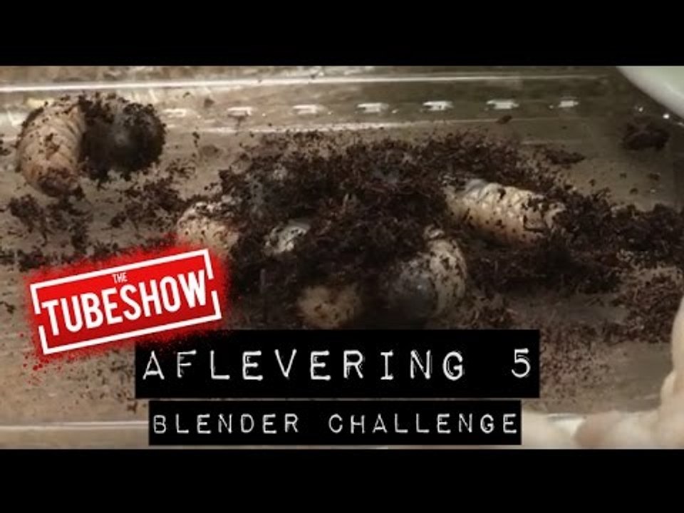 KIPPENPOOT EN BRANDNETELSMOOTHIE - Blenderchallenge #5