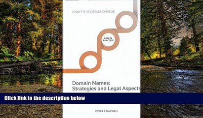 READ FULL  Domain Names - Strategies and Legal Aspects  READ Ebook Full Ebook