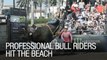 Professional Bull Riders Hit the Beach