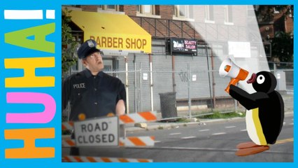 What Pingu Did Next! | Difficult Second Job