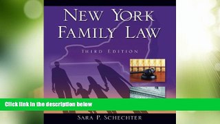 Big Deals  New York Family Law  Best Seller Books Best Seller