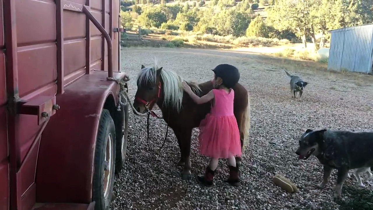 Never Give Up