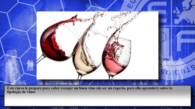 Cómo Saber Escoger un Buen Vino sin Ser un Experto (Online)