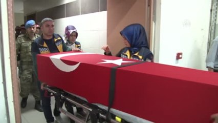 Siirt'te Terör Operasyonu - Bir Köy Korucusu Şehit Oldu