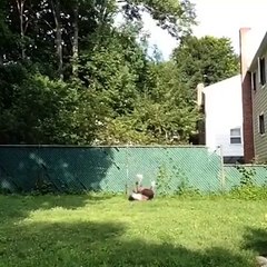 İzlenesi Videolarda Bugün :) Sakarlar ailesi