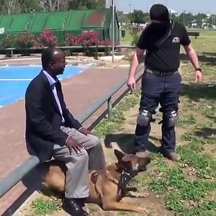 Dünya Bu Köpeği Konuşuyor !!!