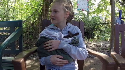 Little girl preciously cuddles baby wallaby