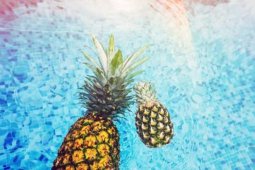 의정부오피 신논현오피 밤전