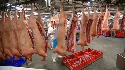 WWF: Mensch verursacht Burn-out der Erde | DW Nachrichten