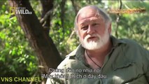 Honey badger kills python - Honey Badgers of The Kalahari