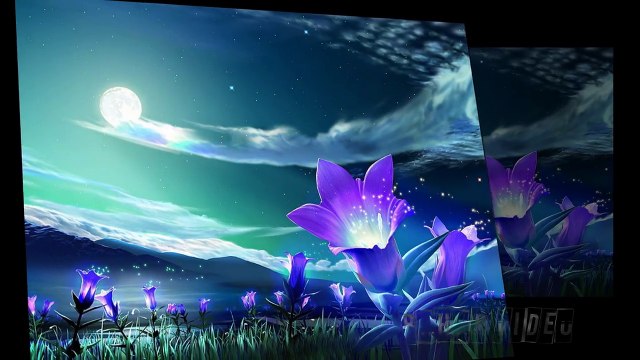 Ahmad Zahir - Antikhabe‫ احمد ظاهر(رادیویی) آه چه خــوش آمـــدی صفــا کـردی...‬