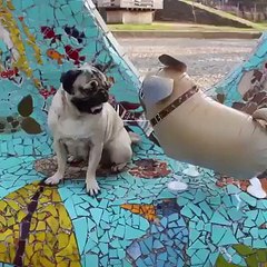 chad hatten denver  chad hatten denver  chad hatten denver chad hatten denverchad hatten denver