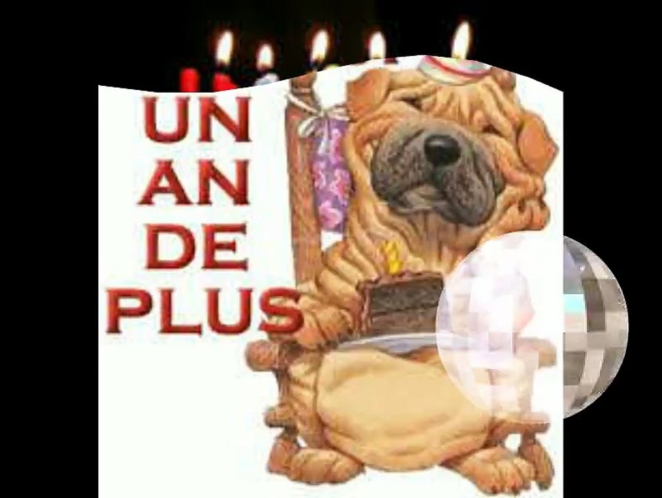 Anniv' Quentin MEENS (FC LEFOREST)