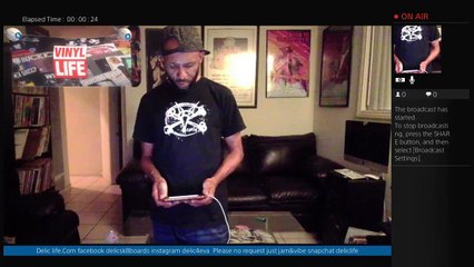 delics viynl life  jamz (122)