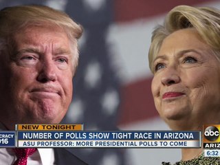 With polls calling Arizona a battleground state on Election Day, how do they work?