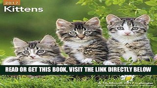 Best Seller Kittens Wall Calendar (2017) Free Download