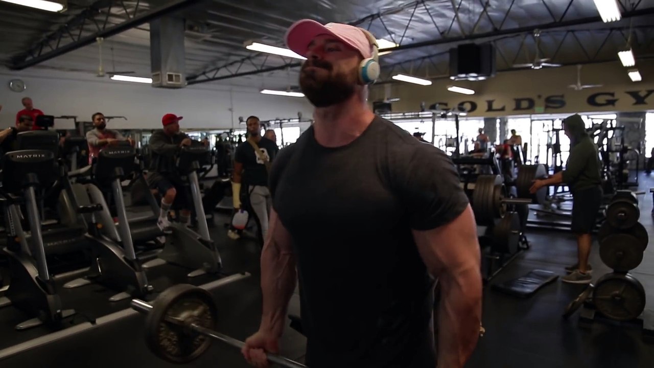 Biceps only   Full Routine   Big Arms