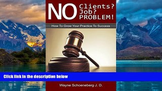 Big Deals  No Clients? No Job? No Problem!: How To Grow Your Practice To Success  Best Seller