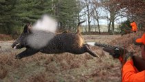 10 phát bắn đỉnh cao hạ gục lợn rừng của thợ săn chuyên nghiệp