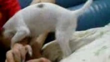 baby200708