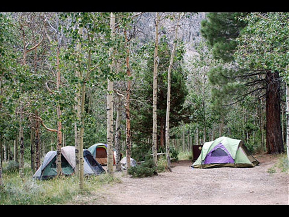 All about Aspen camping