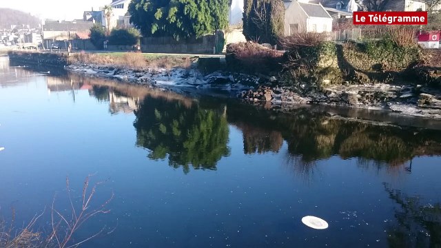 Quimperlé. La Laïta gelée sur la moitié de son lit
