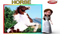 Horse Nursery Rhyme | Animal Rhymes | Nursery Rhymes With Lyrics | Nursery Rhymes 3D Animation
