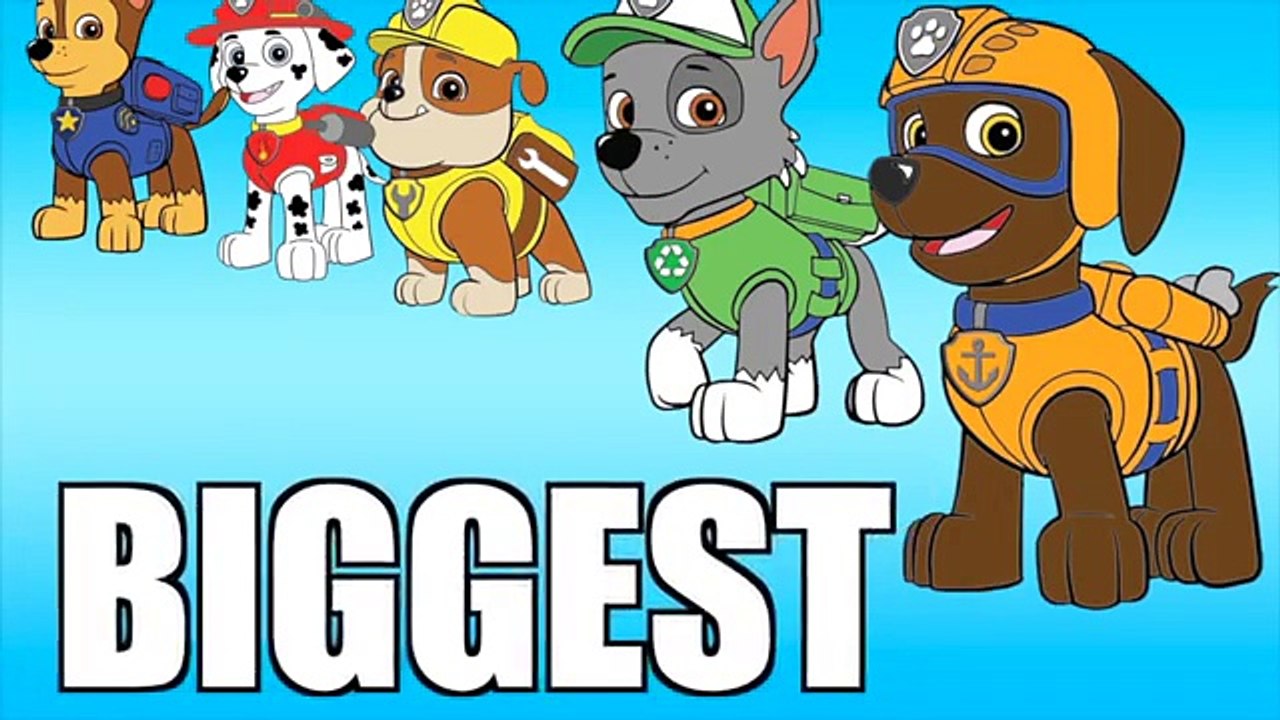 New Chase Paw Patrol Marshall Rubble Rocky Kids Surprise | Teaching Sizes From Smallest To Biggest