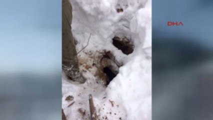 Tunceli'deki Operasyonda PKK'ya Ait 19 Sığınak Bulundu