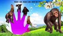 Monkey Finger Family 2D | Children Rhymes TV 2D Rhymes | Nursery Rhymes For Children