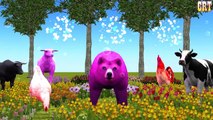#Animals Sounds #Learning Nursery Rhymes || #Children Rhymes Tv Collection