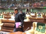 Sindh Assembly Session 24th Jan 2017 Tuesday