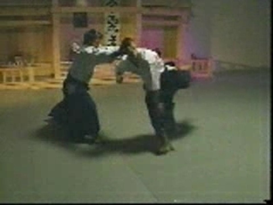 Aikido irimi3 (1)