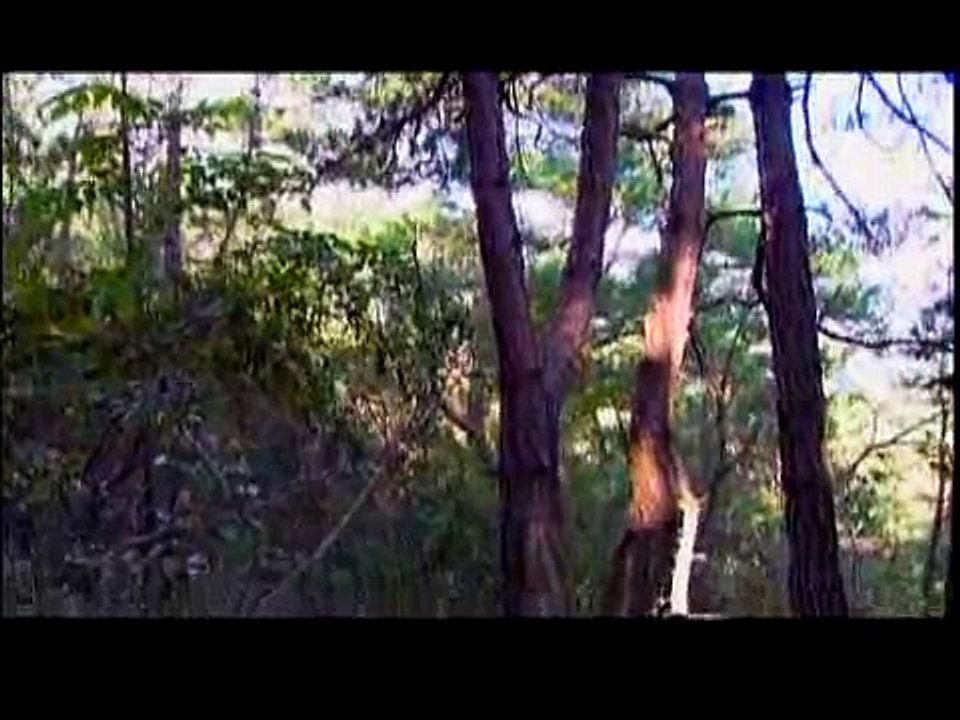 O Solo   Parte 2 de 2 (Documentário)