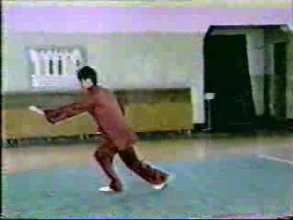 Xingyiquan_wuxinglianhuan