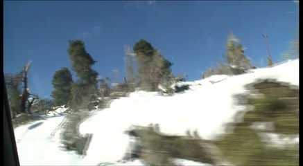 Ο χιονιάς τσάκισε όλα τα δέντρα στην Κύμη