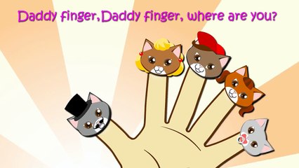 Cats Finger Family Nursery Rhymes Lyrics