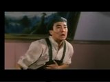 Donnie Yen vs Billy Chow Excellent Combat HD