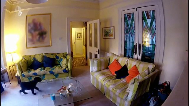 On leur fait voir ce que font leurs chiens pendant leur absence... Ce qu'ils découvrent leur a mis les larmes aux yeux !