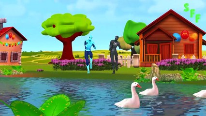 Spiderman Finger Family Songs | Spiderman Cartoons For Children | Spiderman Nursery Rhymes