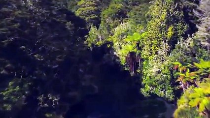 Морские динозавры National Geographic