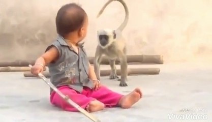 top 10 funny videos 2017 Monkey is playing with baby, Funny Animal Videos