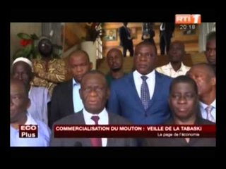 Eco Plus   surenchère au marché de mouton à la veille de la Tabaski