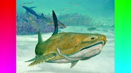 Top 10 Facts: Fish // QuickTops